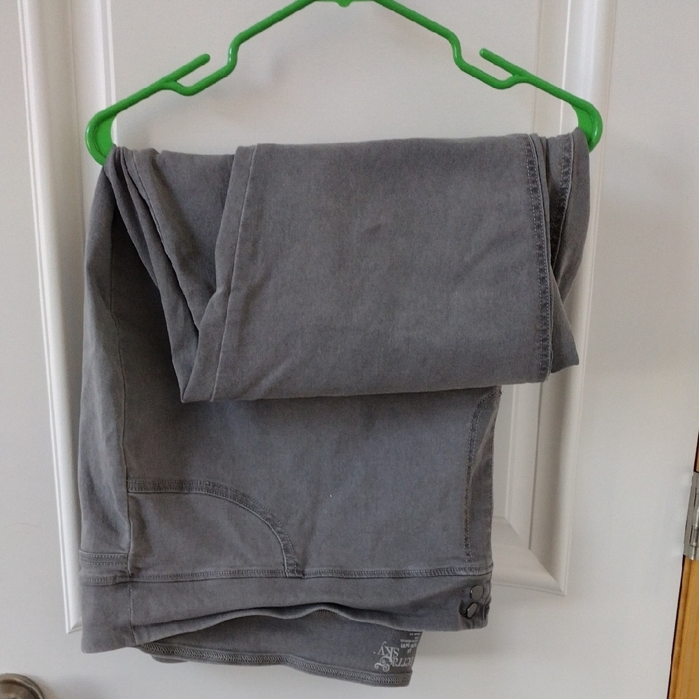 Gray Casual Pants/ Jeggings